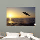 Bottlenose Dolphin Caribbean off Wall Decal Design 4