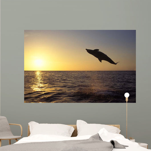 Bottlenose Dolphin Caribbean off Wall Decal Design 4