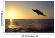 Bottlenose Dolphin Caribbean off Wall Decal Design 4