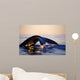 Northern Right Whale Late Wall Decal