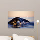 Northern Right Whale Late Wall Decal