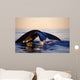 Northern Right Whale Late Wall Decal