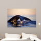 Northern Right Whale Late Wall Decal