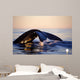 Northern Right Whale Late Wall Decal