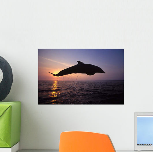 Bottlenose Dolphin Caribbean off Wall Decal Design 3