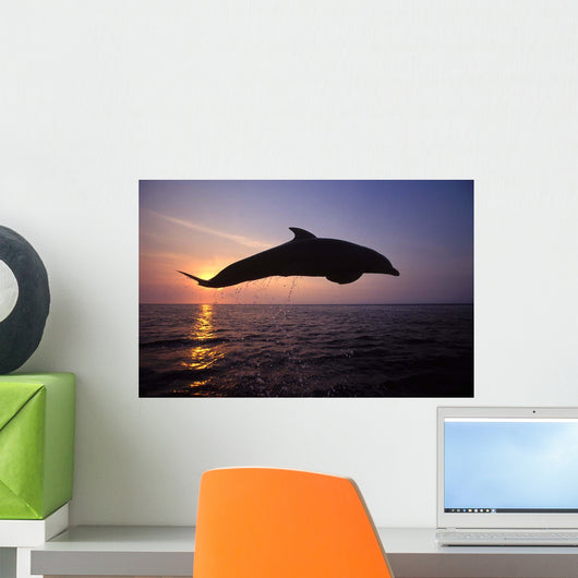 Bottlenose Dolphin Caribbean off Wall Decal Design 3