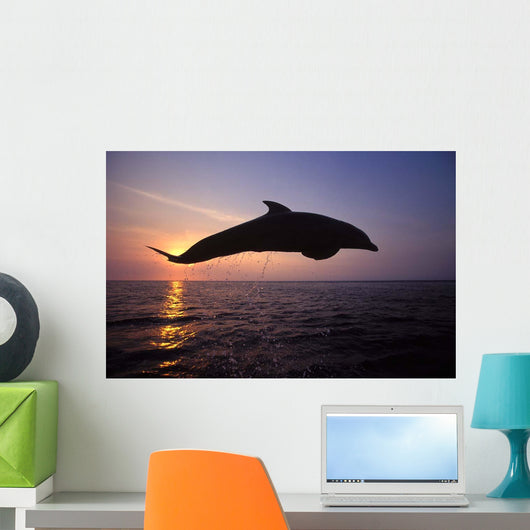Bottlenose Dolphin Caribbean off Wall Decal Design 3