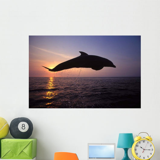 Bottlenose Dolphin Caribbean off Wall Decal Design 3