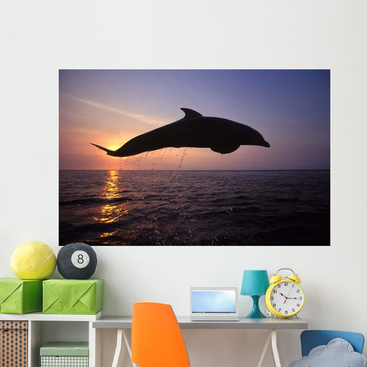 Bottlenose Dolphin Caribbean off Wall Decal Design 3