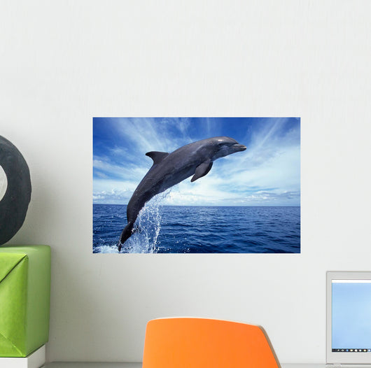 Bottlenose Dolphin Caribbean off Wall Decal Design 2