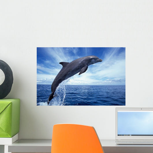 Bottlenose Dolphin Caribbean off Wall Decal Design 2