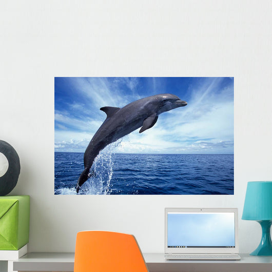 Bottlenose Dolphin Caribbean off Wall Decal Design 2