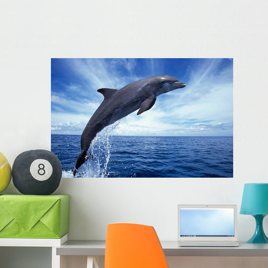 Bottlenose Dolphin Caribbean off Wall Decal Design 2