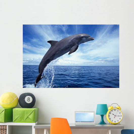 Bottlenose Dolphin Caribbean off Wall Decal Design 2