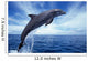 Bottlenose Dolphin Caribbean off Wall Decal Design 2