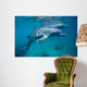Bottlenose Dolphin Caribbean off Wall Decal Design 1