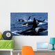 Pod Transient Killer Whales Wall Decal