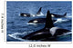 Pod Transient Killer Whales Wall Decal