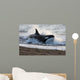 Killer Whale Hunting South Wall Decal