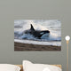 Killer Whale Hunting South Wall Decal