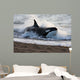 Killer Whale Hunting South Wall Decal