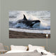 Killer Whale Hunting South Wall Decal