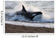 Killer Whale Hunting South Wall Decal