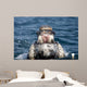 Front Open Mouth Young Wall Decal