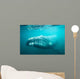 Southern Right Whale Swimming Wall Decal