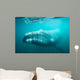 Southern Right Whale Swimming Wall Decal