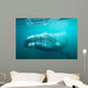 Southern Right Whale Swimming Wall Decal