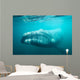 Southern Right Whale Swimming Wall Decal