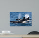Group Transient Killer Whales Wall Decal Design 2