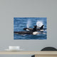 Group Transient Killer Whales Wall Decal Design 2