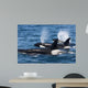 Group Transient Killer Whales Wall Decal Design 2