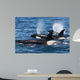 Group Transient Killer Whales Wall Decal Design 2