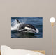 Transient Killer Whale Leaping Wall Decal Design 4