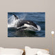 Transient Killer Whale Leaping Wall Decal Design 4