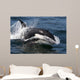Transient Killer Whale Leaping Wall Decal Design 4