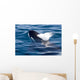 Transient Killer Whale Exhales Wall Decal