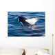 Transient Killer Whale Exhales Wall Decal
