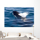Transient Killer Whale Exhales Wall Decal