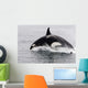Transient Killer Whale Leaping Wall Decal Design 3