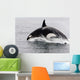 Transient Killer Whale Leaping Wall Decal Design 3
