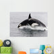 Transient Killer Whale Leaping Wall Decal Design 3