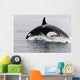 Transient Killer Whale Leaping Wall Decal Design 3