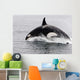 Transient Killer Whale Leaping Wall Decal Design 3
