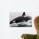 Transient Killer Whale Leaping Wall Decal Design 2