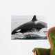 Transient Killer Whale Leaping Wall Decal Design 2