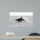 Transient Killer Whale Leaping Wall Decal Design 1